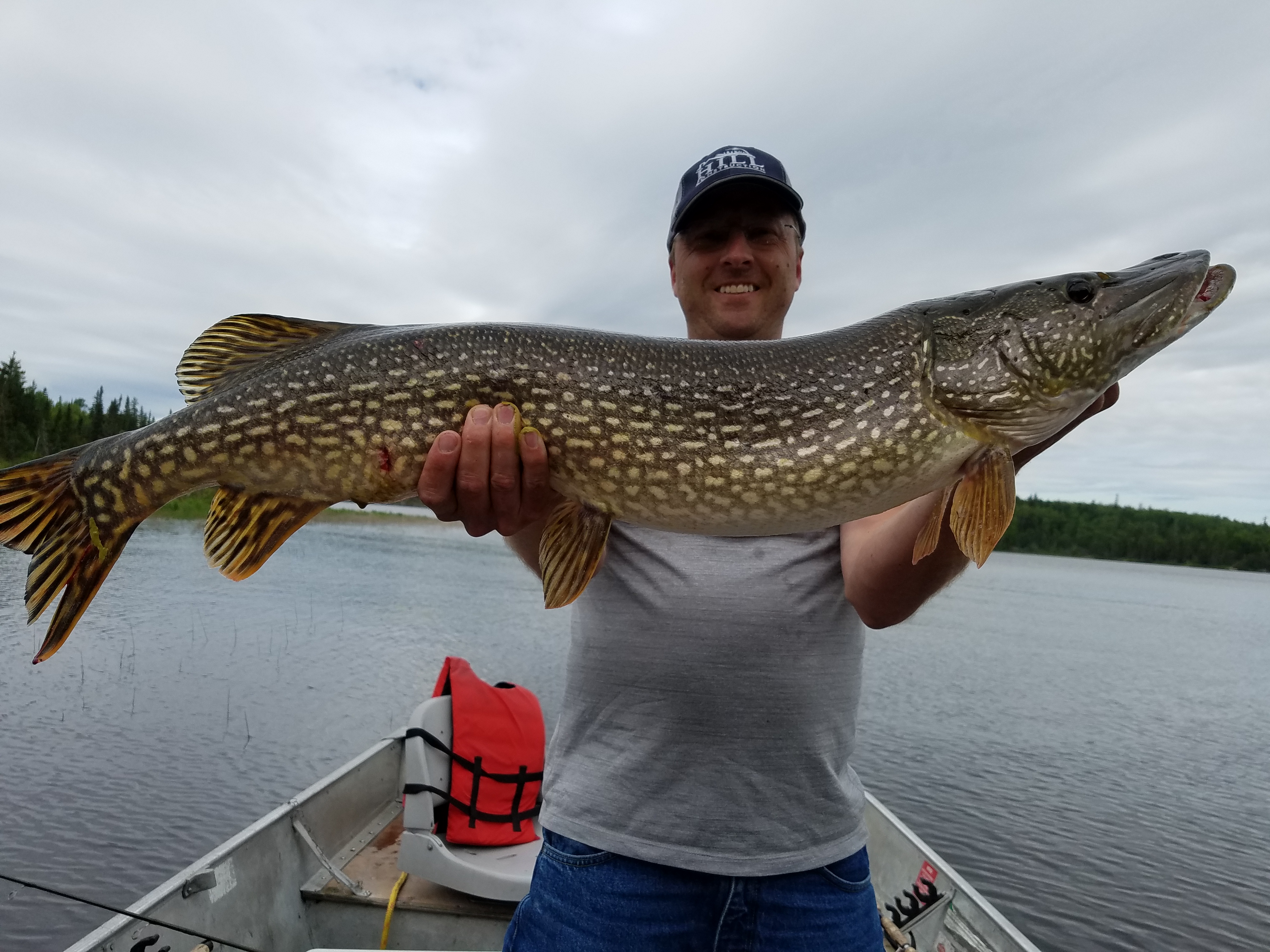 Northern Pike Teeth